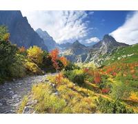 1000 Piezas Puzzle,Juegos de Rompecabezas para Juego Familiar - Montañas vegetación Camino 75x50cm