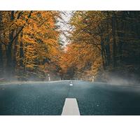 1000 Piezas Puzzle para Adultos,Regalos Divertidos - Carretera asfaltada otoño 75x50cm