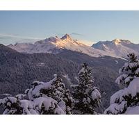 1000 Piezas Puzzle para Adultos,Regalos Divertidos - Montañas bosques árboles 75x50cm