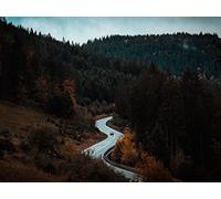 1000 Piezas Puzzle,Rompecabezas de Niños Adolescente - Movimiento de Carreteras en bosques 75x50cm
