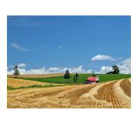 1000 Piezas Puzzles,Juego Educativo, Desafío-Campo,economía,heno 70x50cm