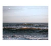 1000 Piezas Puzzles,Juego Educativo, Desafío-Mar,Olas,Aves,Costa,Cielo 70x50cm