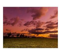 1000 Piezas Puzzles para Adultos-Campo,crepúsculo,Paisaje 70x50cm