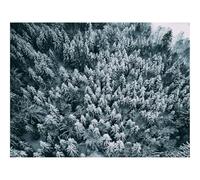 1000 Piezas Puzzles, Rompecabezas de Desafío Duro Imposible-bosques,Nieve,Vista aérea 70x50cm