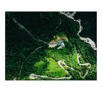1000 Piezas Puzzles,Rompecabezas para Adultos-bosques,Camino,sinuoso 70x50cm