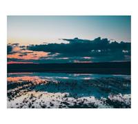 1000 Piezas Puzzles, Rompecabezas para Adultos y Jóvenes-Luna,Lago,árboles,Siluetas,crepúsculo,Naturaleza 70x50cm