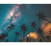 1000 Piezas Rompecabezas de para Adultos,Rompecabezas educativos - Palmeras Cielo Estrellado Noche 75x50cm