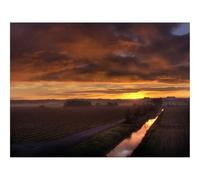 1000 Piezas Rompecabezas para Hombres y Mujeres-Campo,Camino,Agricultura 70x50cm