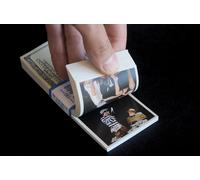 10000 Dollar Flip Book | Santiago Melazzini