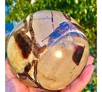 1000g / 1100g / 1200g Especímenes minerales de geoda de gema de cristal de dragón septariano natural raro-1000 g