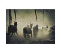 1000pcs(38x26cm) Rompecabezas para Adolescentes Horses on Grass Wild Rompecabezas para Adultos Juego Práctico Regalos para Aliviar El Estrés para Amigos Y Familiares 1000pcs(38x26cm)