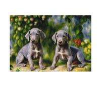 1000pcs(38x26cm) Rompecabezas para Adolescentes Painted Puppies Garden Rompecabezas para Adultos Juguetes Antiestrés Corte De Precisión Cumpleaños 1000pcs(38x26cm)