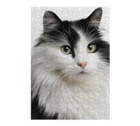 1000pcs(38x26cm) Rompecabezas para Adultos Fluffy Black & White Cat Rompecabezas para Adultos Juguetes De Bricolaje Regalos para Mujeres Difíciles Y Desafiantes 1000pcs(38x26cm)