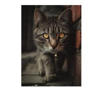 1000pcs(52x38cm) Rompecabezas para Adolescentes Curious Street Cat Rompecabezas para Adultos Juegos Familiares Desafío Difícil Oferta como Regalos para Toda La Familia 1000pcs(52x38cm)