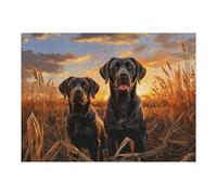 1000pcs(52x38cm) Rompecabezas para Adolescentes Two Labrador Retrievers Rompecabezas para Adultos Juegos Divertidos Desafío Difícil Juego Desafiante Regalos 1000pcs(52x38cm)