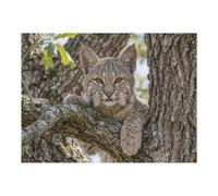 1000pcs(52x38cm) Rompecabezas para Adultos Bobcat in A Tree Rompecabezas para Adultos Juguetes Antiestrés Ensamblaje De Patrones Interacción Entre Padres E Hijos 1000pcs(52x38cm)