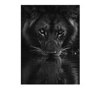 1000pcs(52x38cm) Rompecabezas para Adultos Regalos De Rompecabezas Lion Drinking Water Black and White Rompecabezas para Adultos Juegos Familiares Decoración Desafío Educativo 1000pcs(52x38cm)