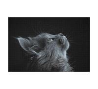 1000pcs(75x50cm) Rompecabezas para Adultos Regalos De Rompecabezas Gray Cat Portrait Rompecabezas DIY Juguetes Una Obra De Arte Regalos para Amigos Y Familiares 1000pcs(75x50cm)