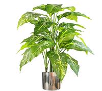 100cm Large Fox's Aglaonema (Spotted Evergreen) Tree Artificial Plant with Silver Metal Planter Marca Leaf