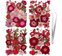 101 flores rojas prensadas secas para manualidades de Navidad, flores rojas reales de la naturaleza a granel para manualidades, suministros de álbumes de recortes, flores secas grandes para hacer