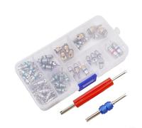 102X Automotive AC Valve Core Tool Set 2 herramientas removedoras y 100 núcleos para R134a y R12, ideal para mantenimiento y mantenimiento de automóviles