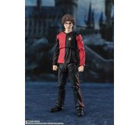 107869 HARRY POTTER Y EL CÁLIZ DE FUEGO HARRY POTTER SHF