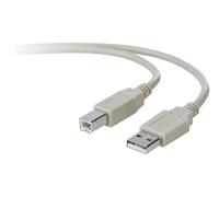10FT Belkin USB Tipo A Macho a USB Tipo B Cable Macho - Gris