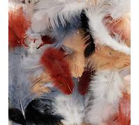 10G Plumes Colorées Natural