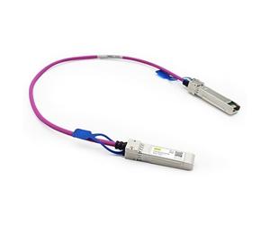 10Gtek 25G SFP28 SFP+ DAC Cable - 25GBASE-CR SFP28 Passive Cable,for Cisco SFP-H25GB-CU0.3M, Ubiquiti UC-DAC-SFP28,Supermicro,Mikrotik,Arista and more,Nylon Braided Jacket, 0.3-meter(1 ft)