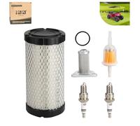 10L0L Golf Cart Kit de afinación compatible con EZGO TXT (W/MCI)/RXV (W/Robbins)/ST350/Workhorse, con aire + aceite + filtro de combustible 28463G01 26591G01 junta tórica de bujía