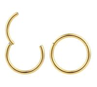 (10mm) 2 piezas de acero quirúrgico 316L de 16 g con segmento articulado para labio, nariz, trago, cartílago, tabique, hélix, aretes para dormir de