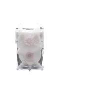 10pc 30 50 100pcs Filtro de Amortiguador de Tinta Compatible con impresoras DX7 DX6 para Roland RA640 RF640 VS540 FH740 RE640 VS640 VS420 VS300 Modelos(A-30PCS)