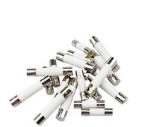 10pc/lot One Sell 5 * 20mm 6 * 30mm Fast Blow Tube Fuses mm 250V 0.1A 0.2A 0.3A 0.4A 0.5A 0.63A 0.75A 0.8A 1A AMP Fuse Ceramic fuse(0.3A)