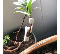 10Pcs 360° Ajustable Planta Bender Clip Para Bajo Estrés Entrenamiento Jardín Sostenedor De Jardín, Ángulo Grado Luz Crecimiento Hebilla (Blanco)