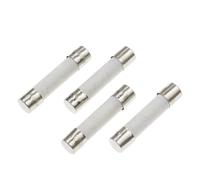 10PCS 5X20MM 6X30MM Fast Blow Ceramic Fuse Tube 250V 0.5 1 2 3 4 5 6 8 10 15 20 25 30A AMP 5 * 20 6 * 30 Slow Down The Car Fuse(QUICK BREAK F_1A)