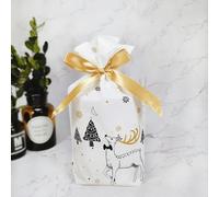 10PCS Bolsa de Navidad de Año Nuevo Bolsa de regalo de Navidad Bolsa de galletas de caramelo para empaquetar alimentos Regalo Cordón Bolsillo con cordón-Bolsa de Navidad-28-20 PCS