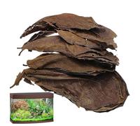 10pcs Catappa Hojas para Acuario - Betta Fish Natural Hábitat Enhancer, acondicionador de calidad del agua, apoyo del equilibrio del pH | Tratamiento de hojas orgánicas para el control de
