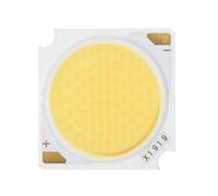 10PCS COB LED 50W 40W 30W 20W 10W Chip Lamp 1919mm Led Chip Bridgelux Powerfor Spotlight Floodlight Garden Square Integrat(White 4000K,40W)