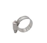10pcs Worm Drive Hose Clamp 304 Stainless Steel Hose Hoop Pipe Clamp Clip(16-25mm)