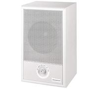 10W Max PA 100V Gabinete de altavoz de extensión