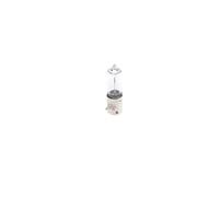 BOSCH Lámpara, luz intermitente para AUDI: TT, A5, A4, RS3, S5, S3, A3, A6, RS5, S4, S6, R8, RS6, Q7, Q3 & BMW: Série 7, Série 3 (Ref: 1 987 302 264)