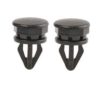 10x Paquete Estante Percha Botón Estantes Clip Interior Soporte De Equipaje Tronco Tapa De Maletero Sujetadores Compatible Con Nissan Juke 2010-2019 799161KA2A