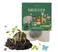 10x Selva / Safari Bombas de Semillas / Flores de la Selva - Bolitas de Semillas para cumpleaños Infantiles - Bolas de Semillas como Regalo - Semillas para niños - Safari Semillas
