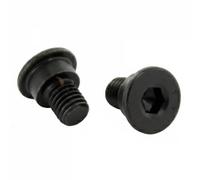 DELPHI BGK005 Tornillo, disco de freno