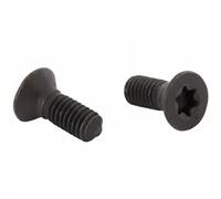 10x Tornillo del disco de freno BGK010 DELPHI