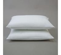 10XDIEZ Relleno cojin 2 Unidades - Relleno Suave y Esponjoso Que no se deforma - para Combinar con Cualquier Funda de cojín (Blanco - Pack de 2 (30x50cm))