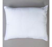10XDIEZ Relleno cojín - 50x70cm, Tejido Microfibra | En 100% poliéster, color tejido microfibra, tamaño 50x70cm, set de 1 pieza, estilo moderno, para dormir o decorar