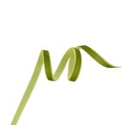 10yards Green Series Chiffon Velvet Ribbon For DIY Hair Bows Hats Decor Clothing Sewing Craft Accessories Supplies Organza(Style A-9mm)