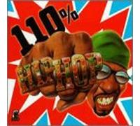110% Hip Hop - Various (three 6 Mafia / Naughty By Nature)