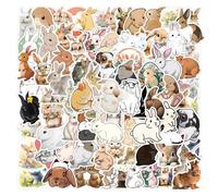 110 pegatinas de conejo para equipaje, portátil, botella de agua, moto, bicicleta, teléfono, guitarra, coche, monopatín, ordenador, álbum de recortes, lindo conejo, pegatinas impermeables para adultos